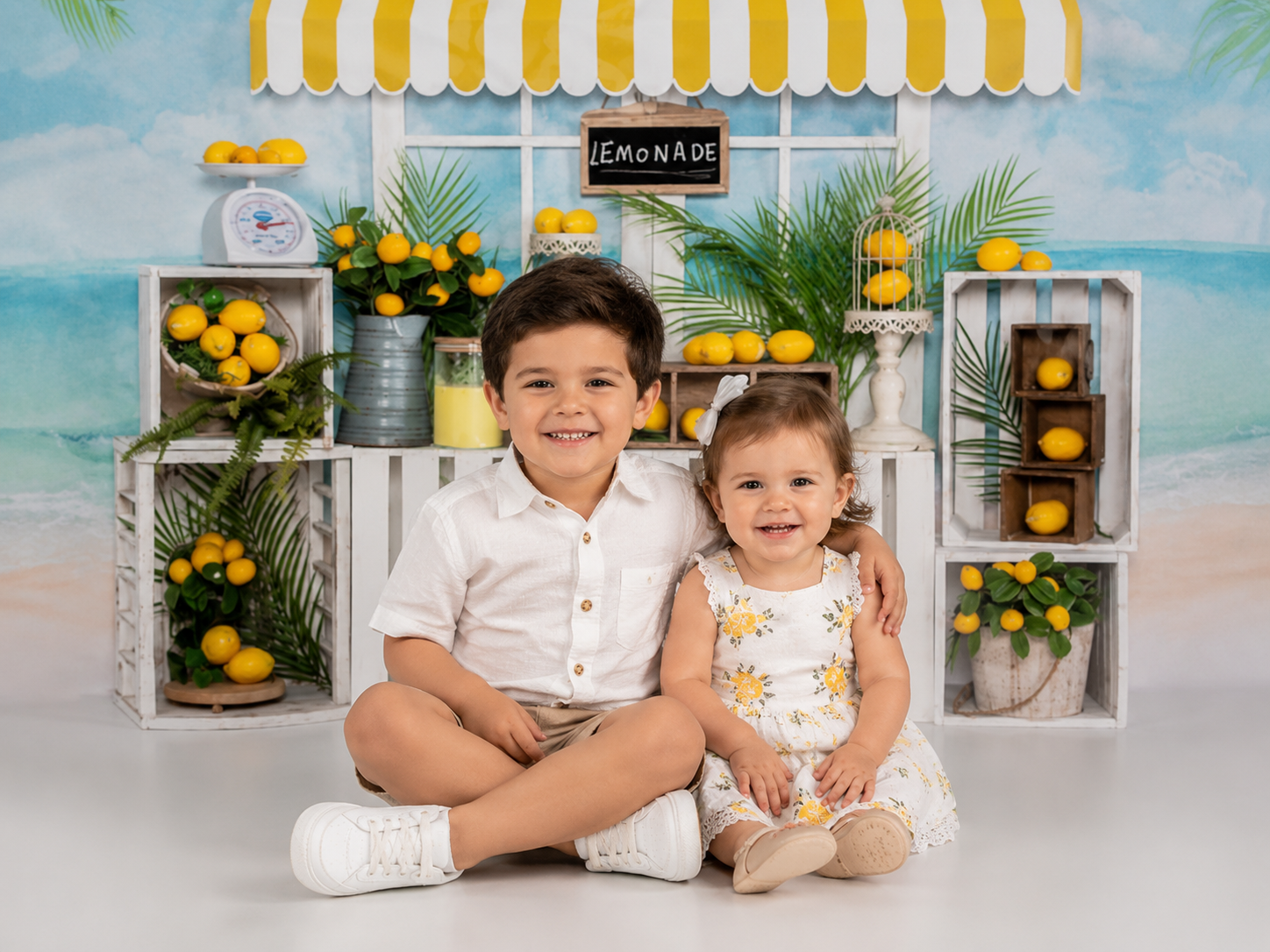 Lemonade Stand
